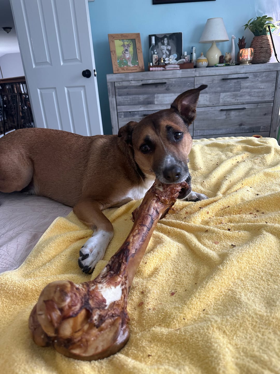 Customer photo review of Monster Femur Bone
