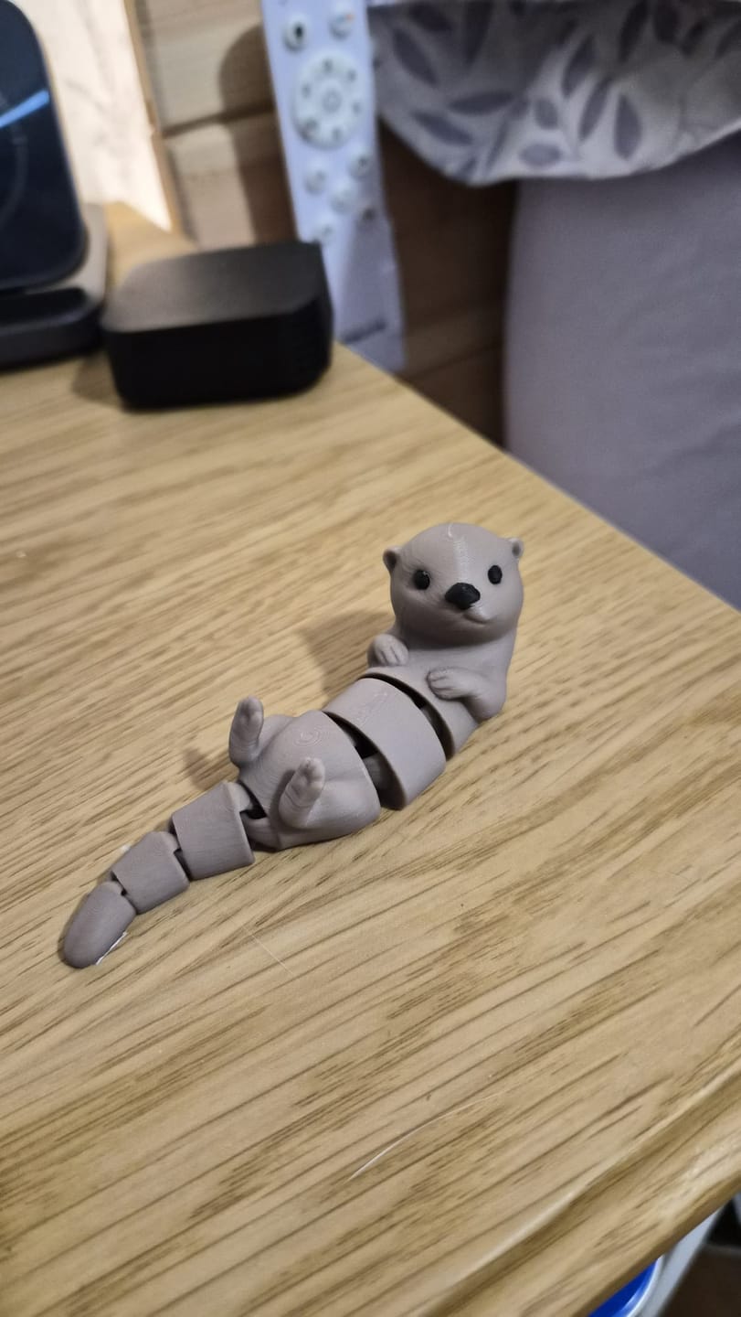 Customer photo review of Anycubic Paquete de filamentos para manualidades caseras