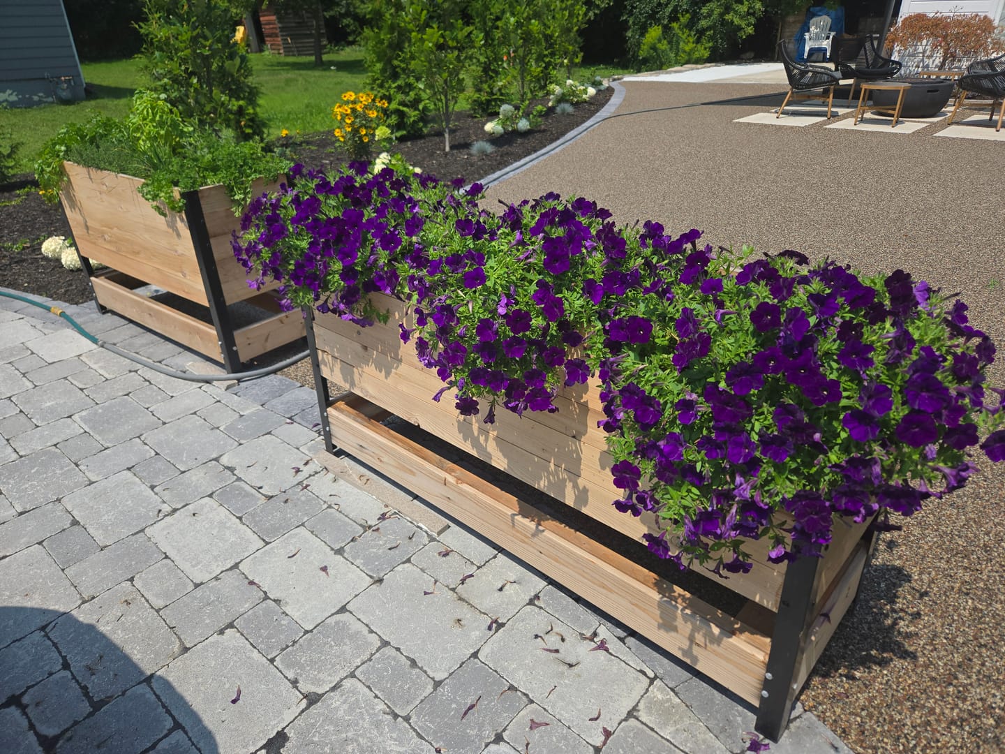 Customer photo review of Anniversary Sale | 18” x 48” Raised Garden Bed
