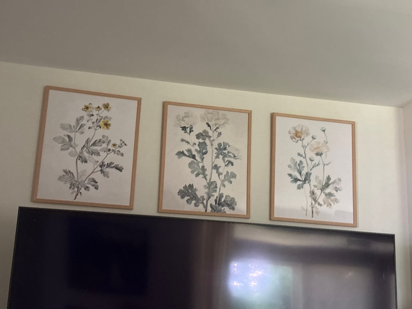 Customer photo review of Meadow Flower Watercolor Wall Art Poster Set