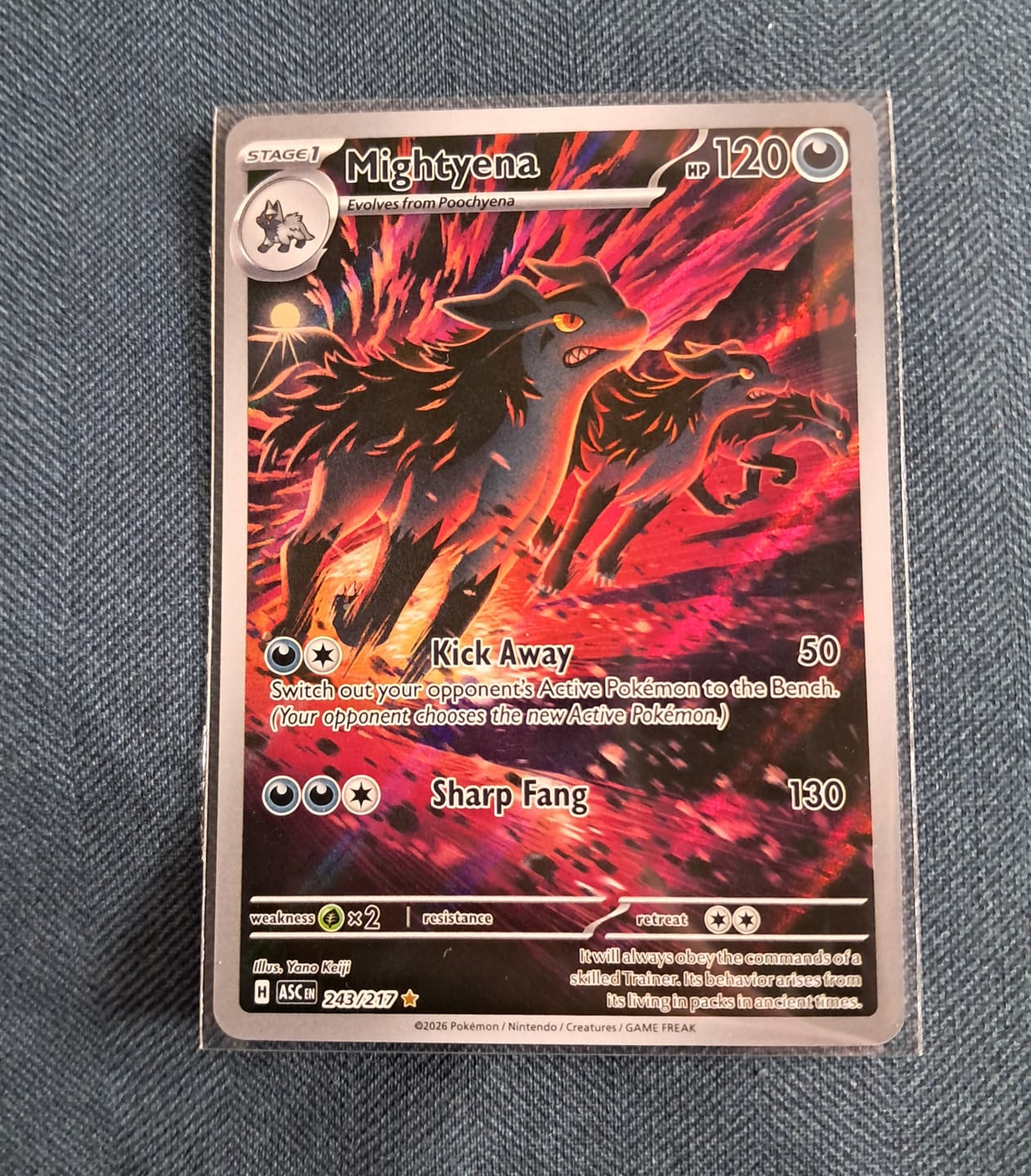 Customer photo review of Pokemon TCG Mightyena 243/217 - Ascended Heroes