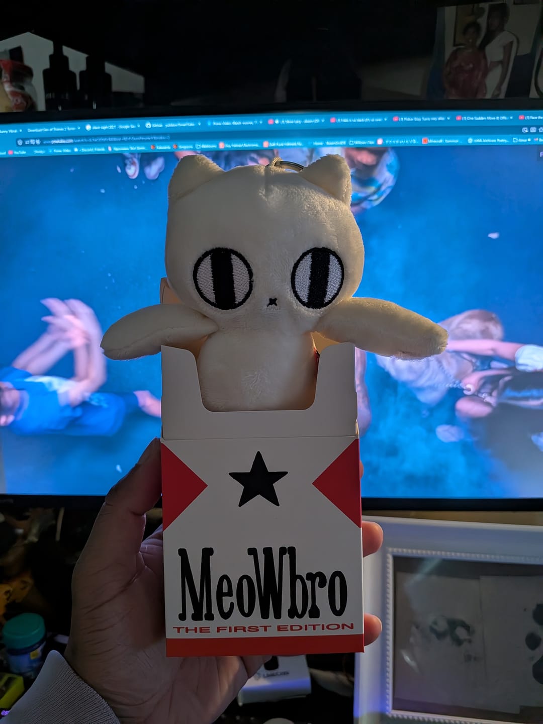 Customer photo review of MeowBro Scrunch Plush