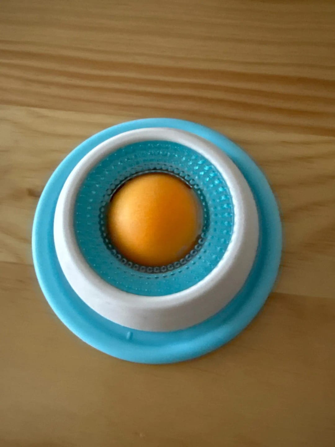 Customer photo review of Sashacat™ LickBowl