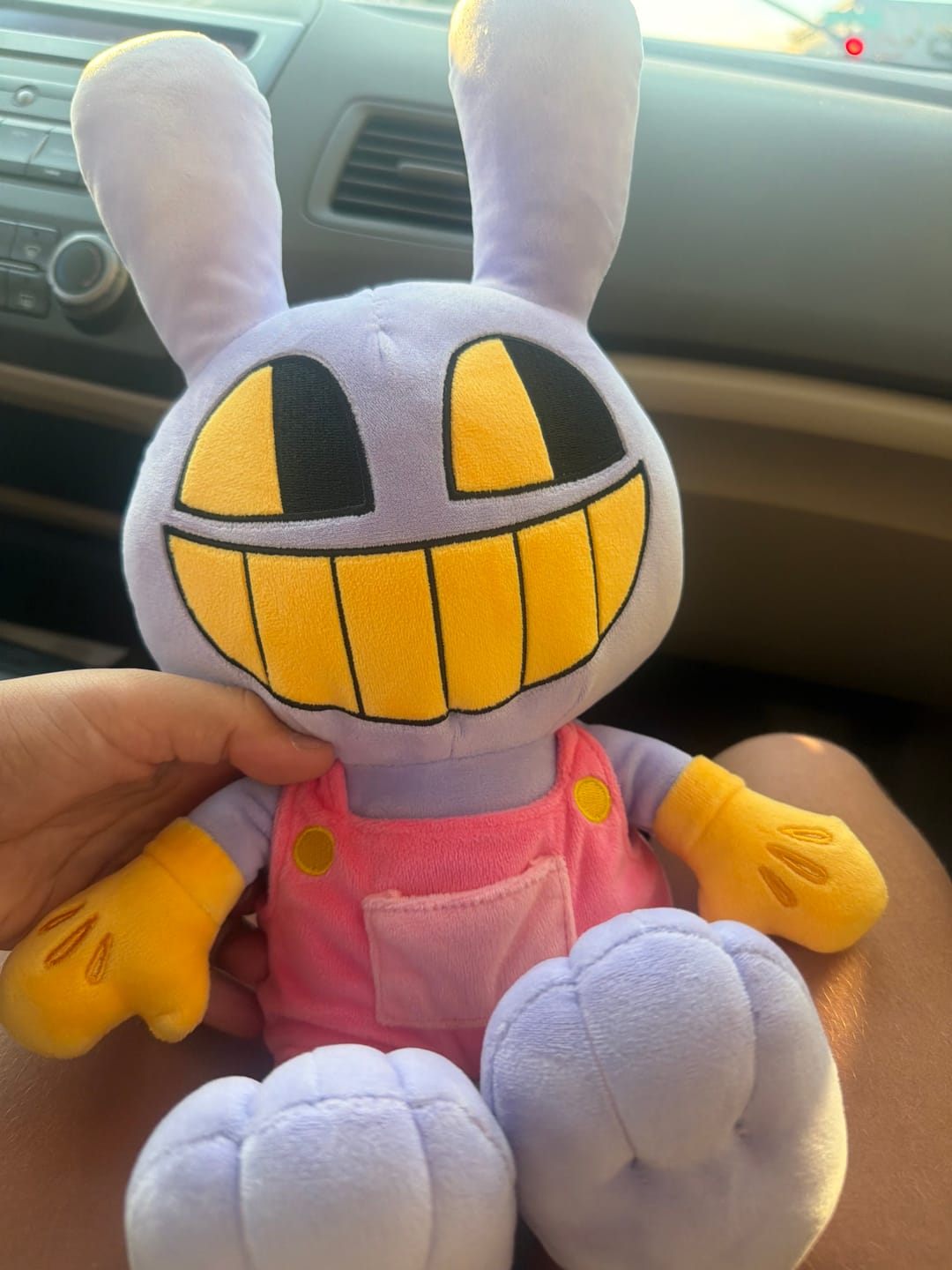 Customer photo review of Jax Plush