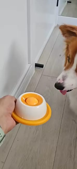Customer photo review of Sashacat™ LickBowl