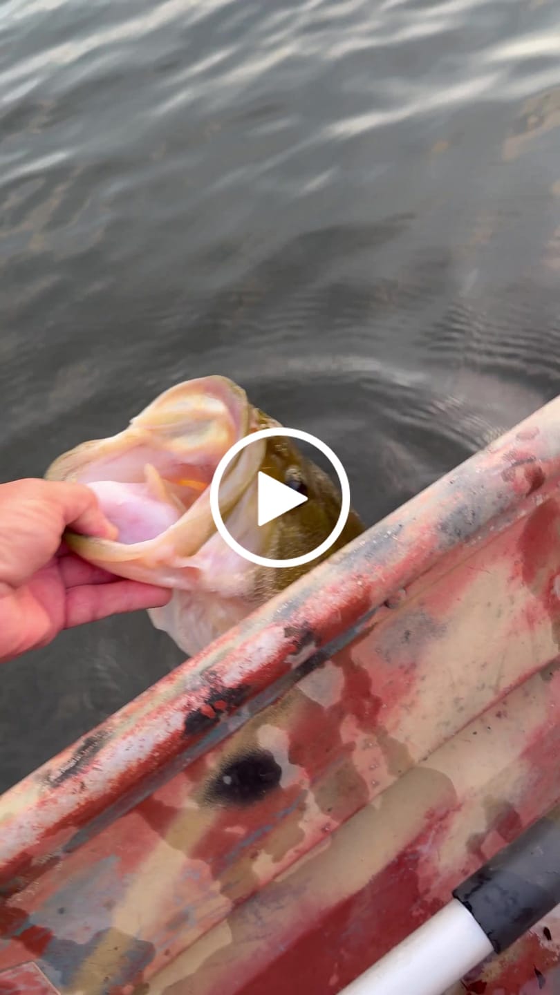 Customer video review of Redington Field Kit Euro