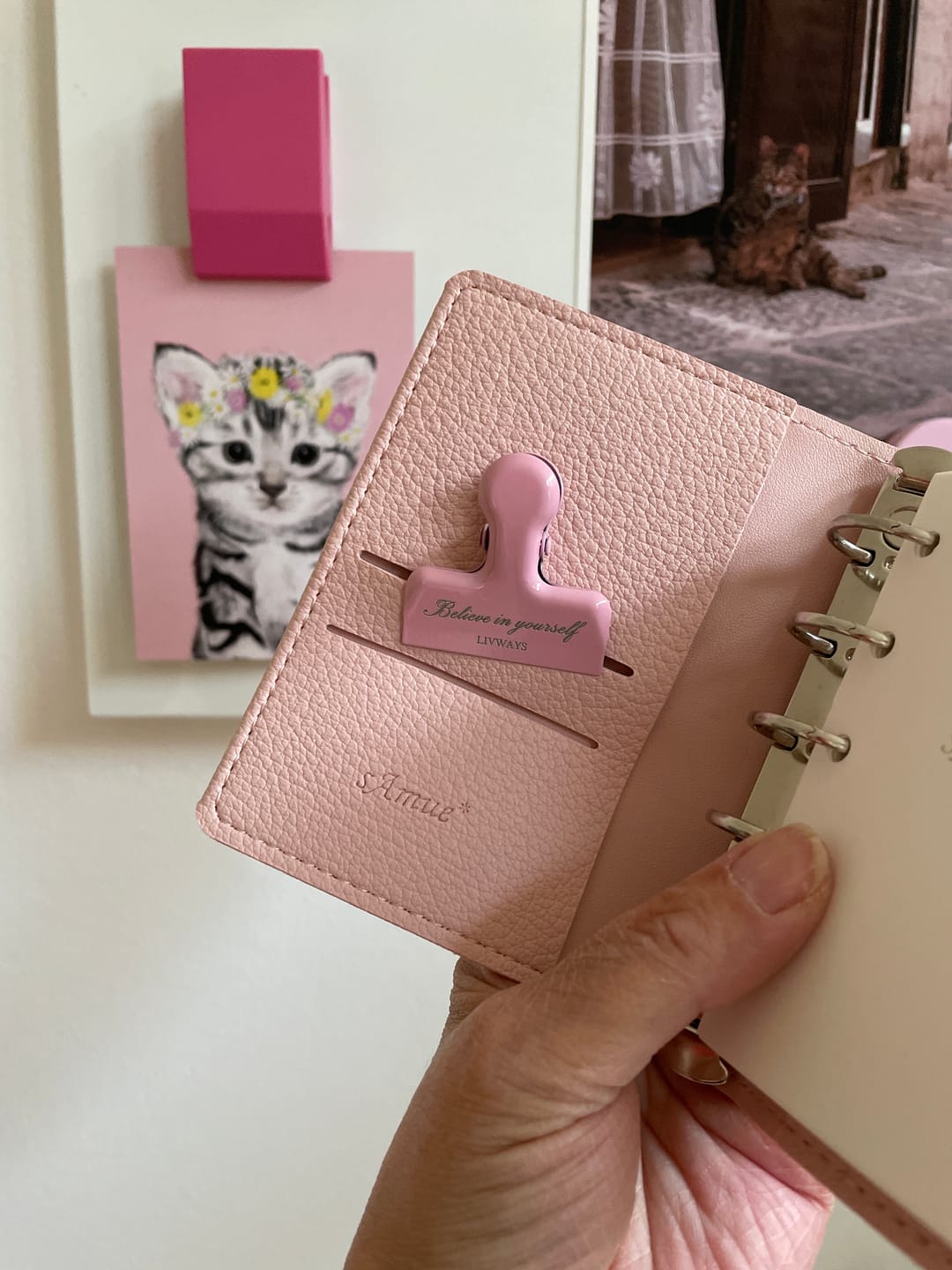 Customer photo review of Manifesto