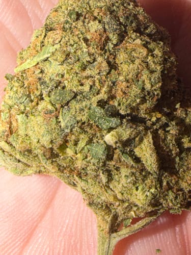 King Louis XIII - 28 Grams - Indica photo review