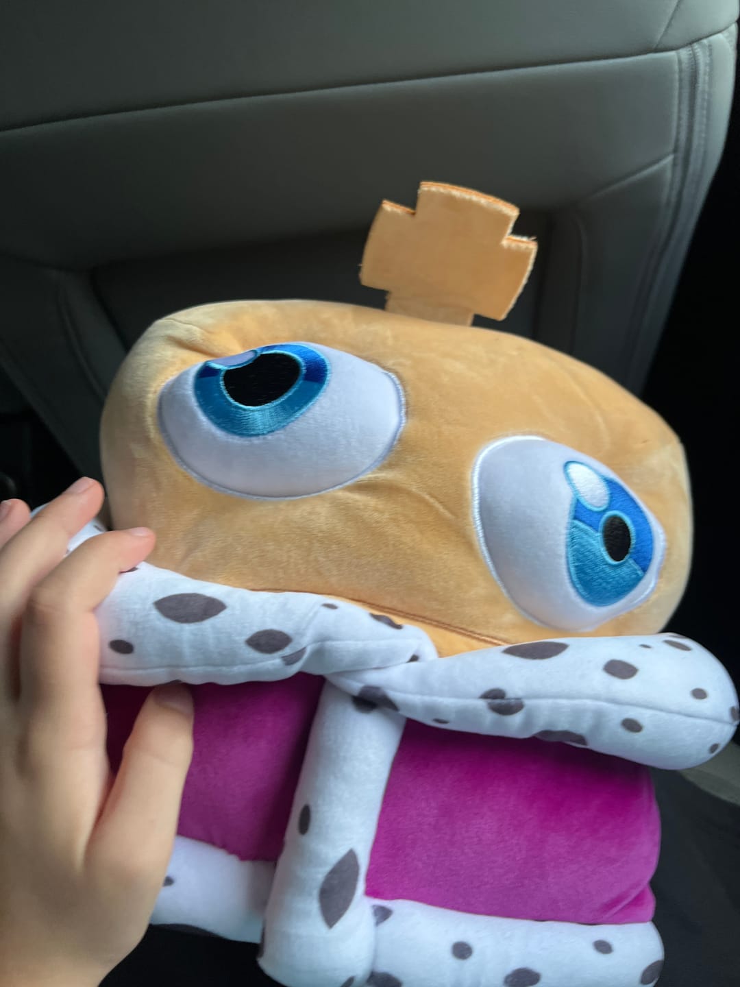 Customer photo review of Kinger Pillow Plush