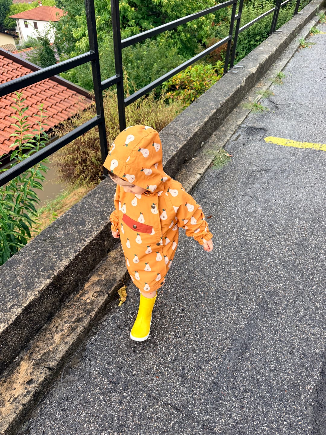 Customer photo review of Summer Pears Recycled Waterproof Packaway Anorak