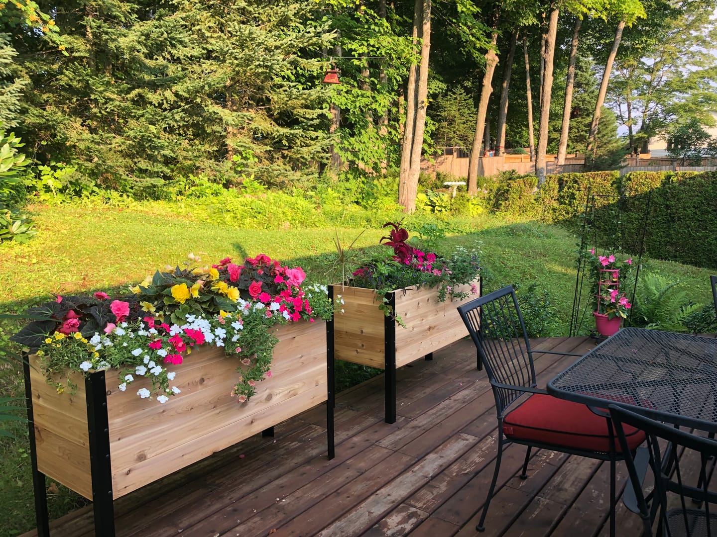 Customer photo review of Anniversary Sale | 18” x 48” Raised Garden Bed
