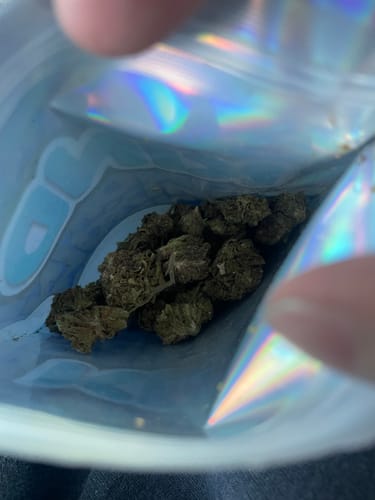 Super Silver Lemon Haze - Minis - 14 Grams - Sativa photo review