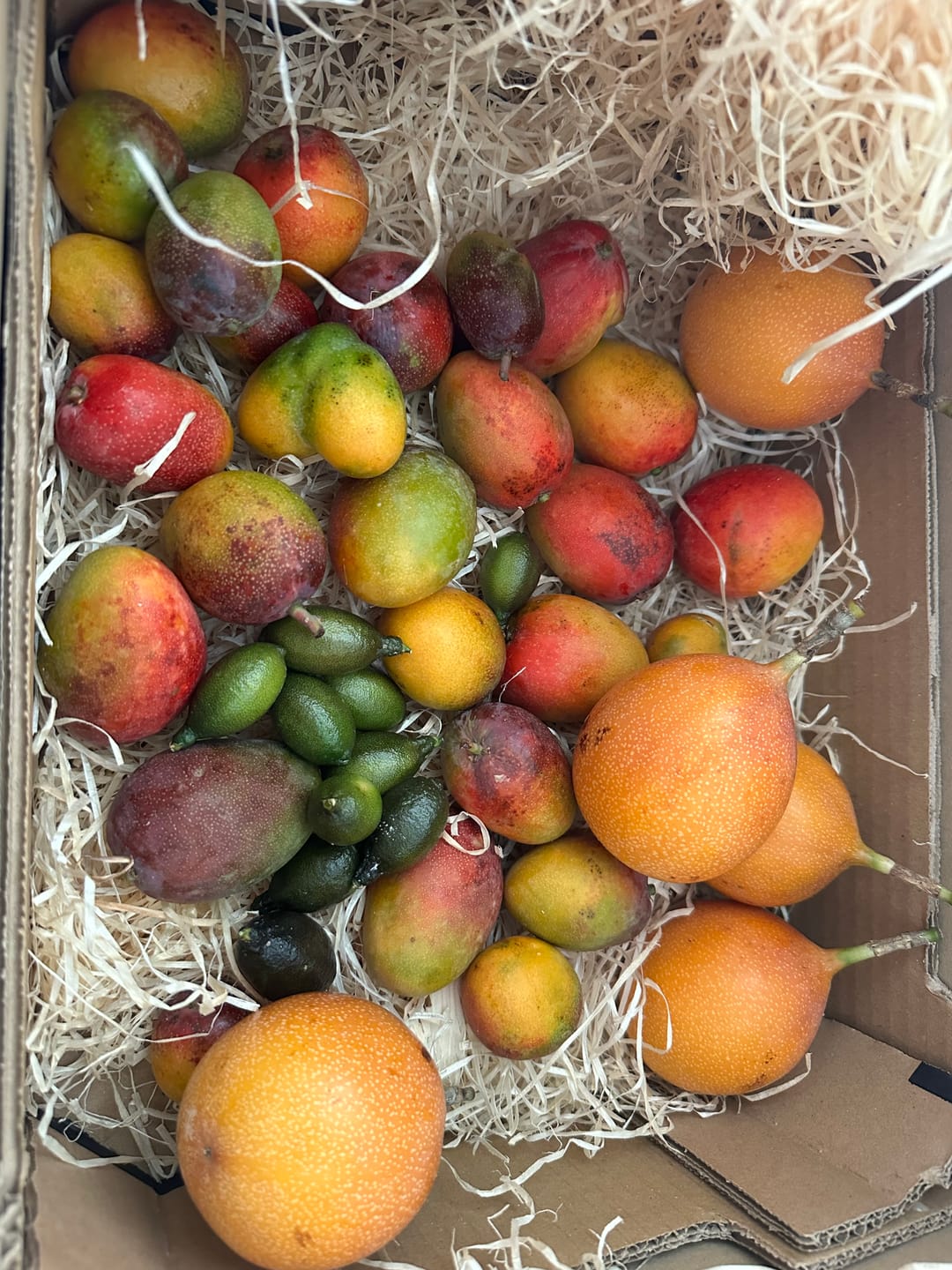 Customer photo review of Kaviarlimetten Bio aus Sizilien