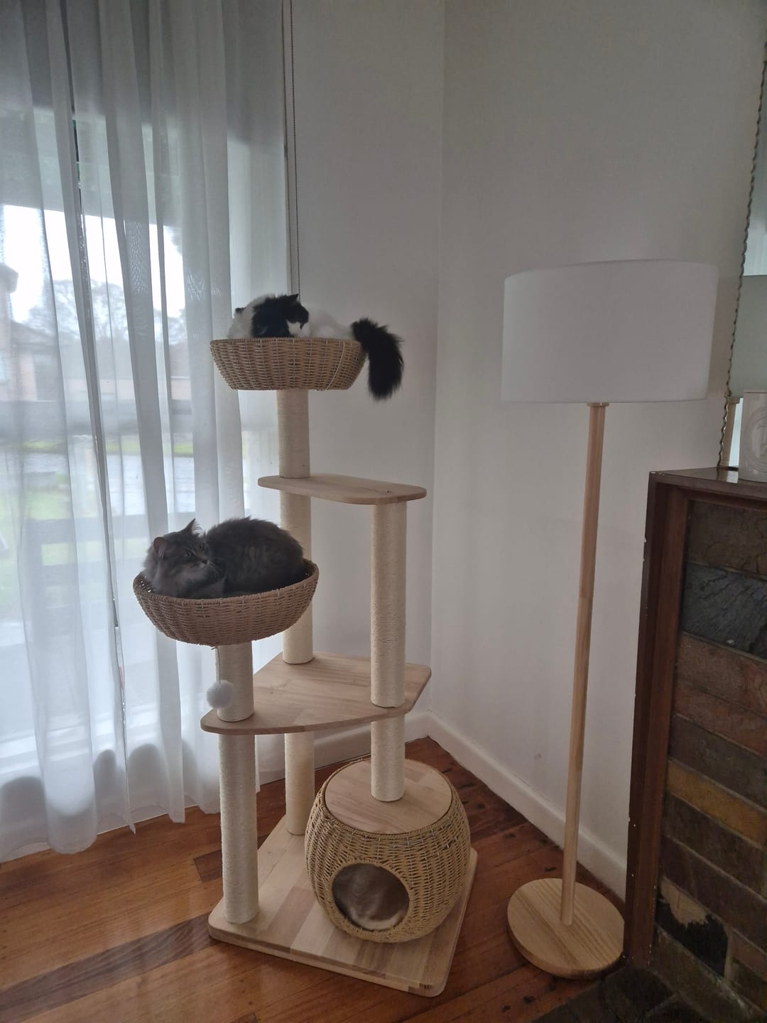 Customer photo review of Oak Cat Tower – 6 Levels with Woven Rattan Beds (90855)
