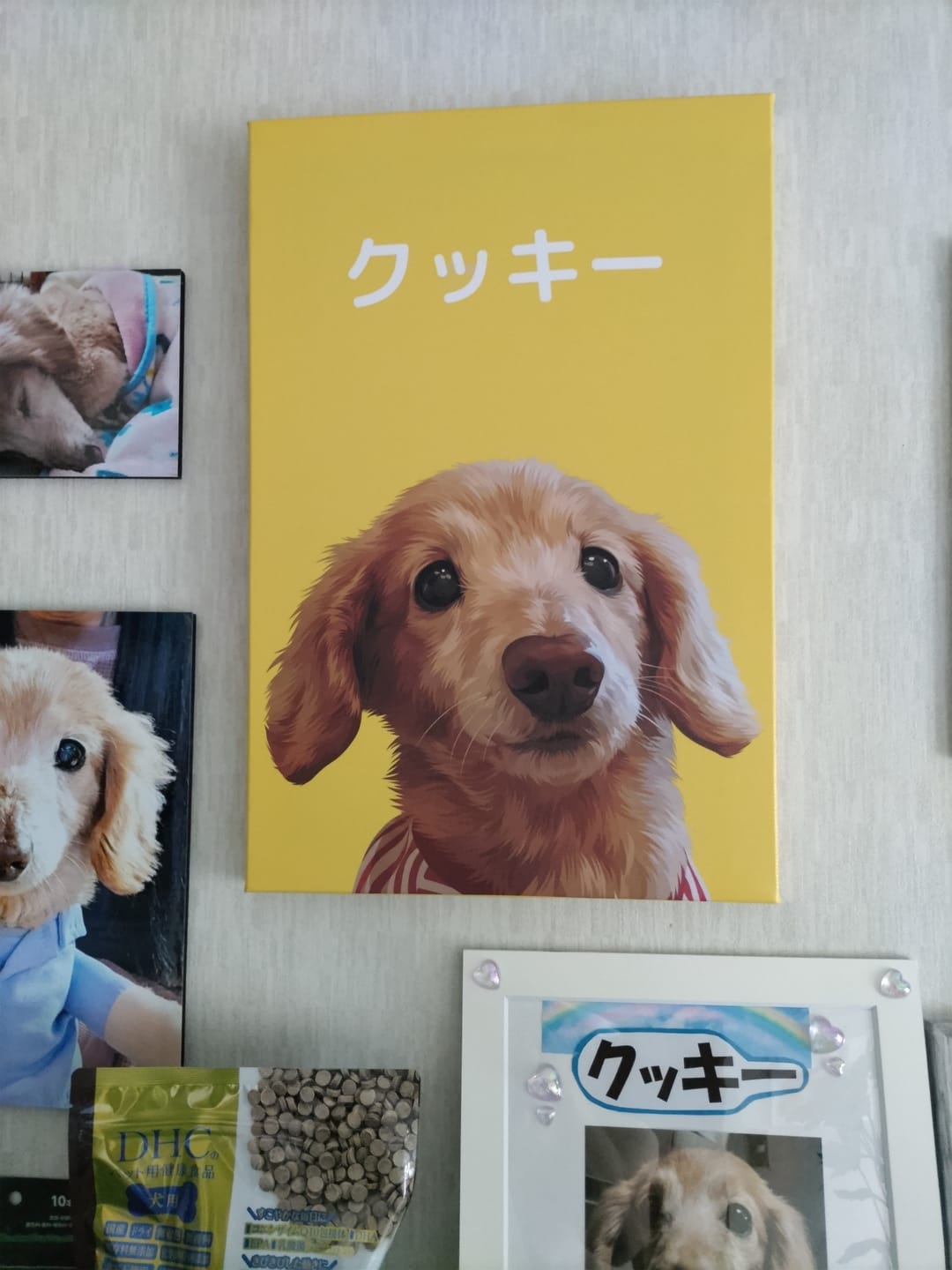 Customer photo review of Petcanva©オーダーメイド ペット似顔絵【3点セット】