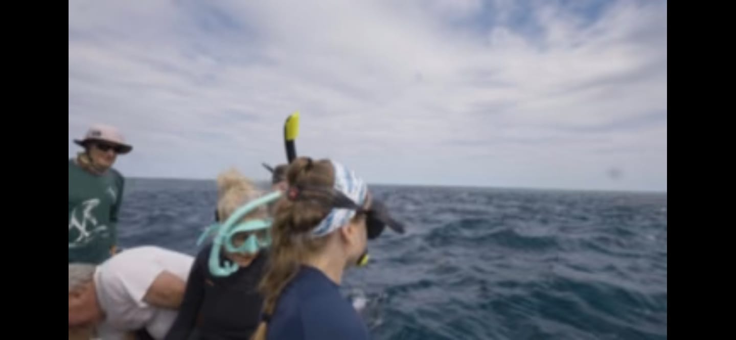 Customer photo review of Snorkel & Fin Bundle