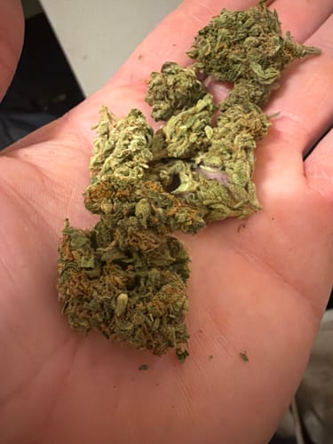 Green Crack - 28 Grams - Sativa photo review