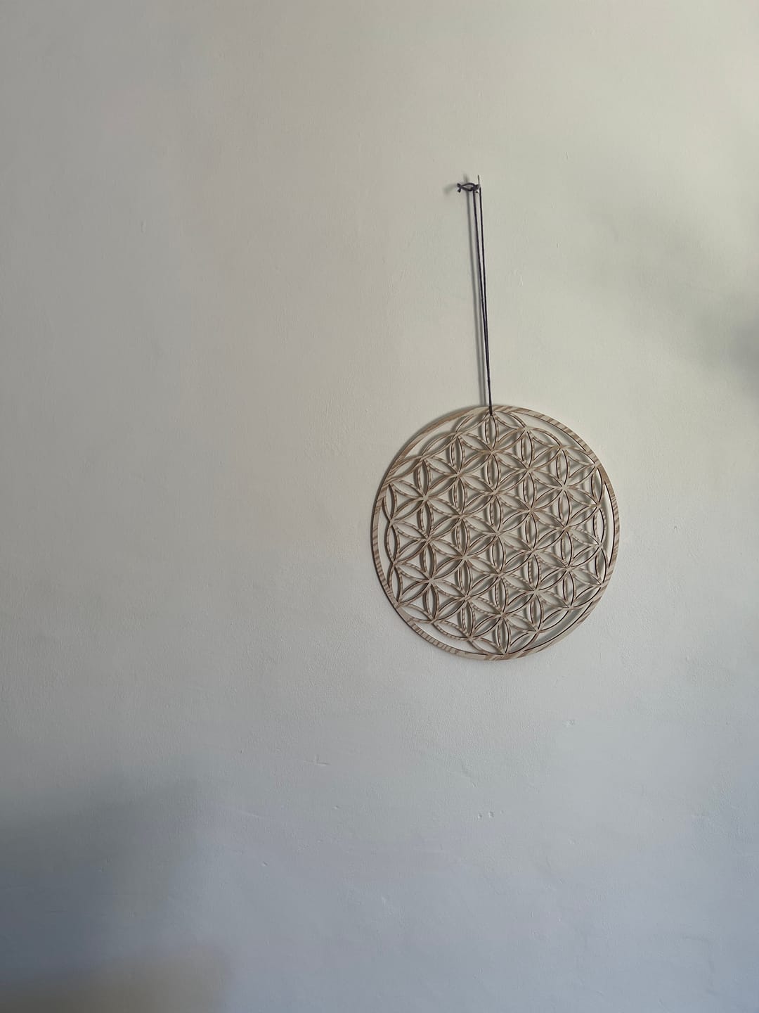 Customer photo review of Lebensblume Holz Wandbild: Dein Anker der Ruhe