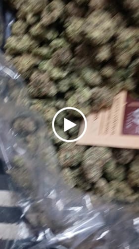 Boutique Exotics  Coffin Candy - Großgebinde - Hybrid photo review