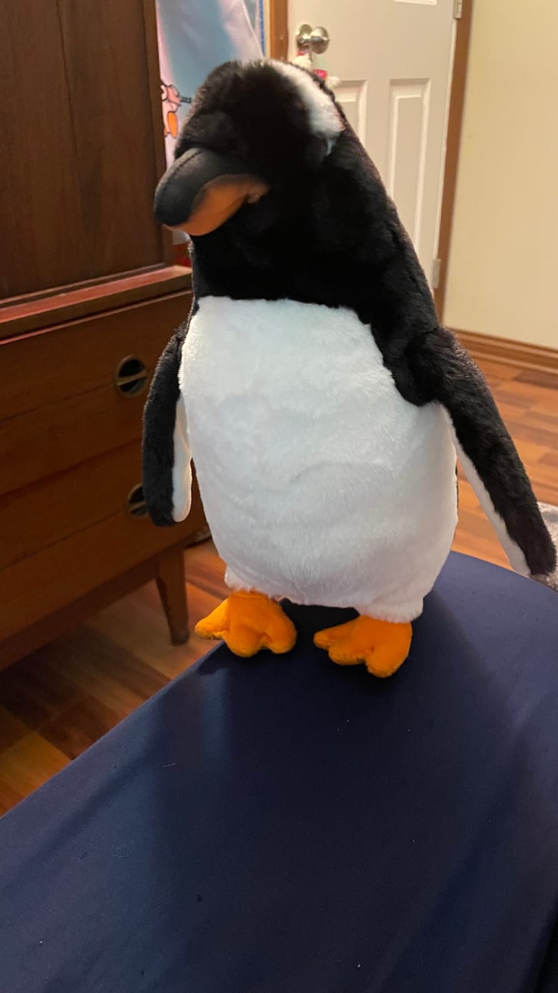 Customer photo review of Gentoo Penguin Bird Soft Stuffed Plush Toy