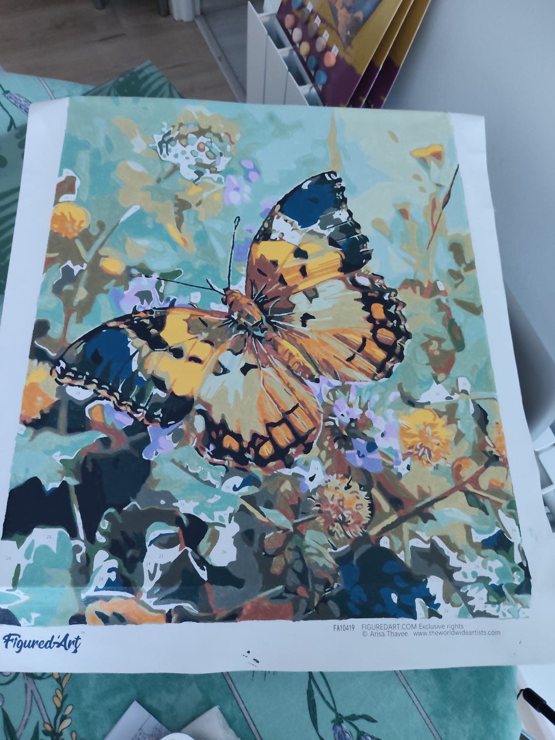 Customer photo review of Papillon Janetta Forester