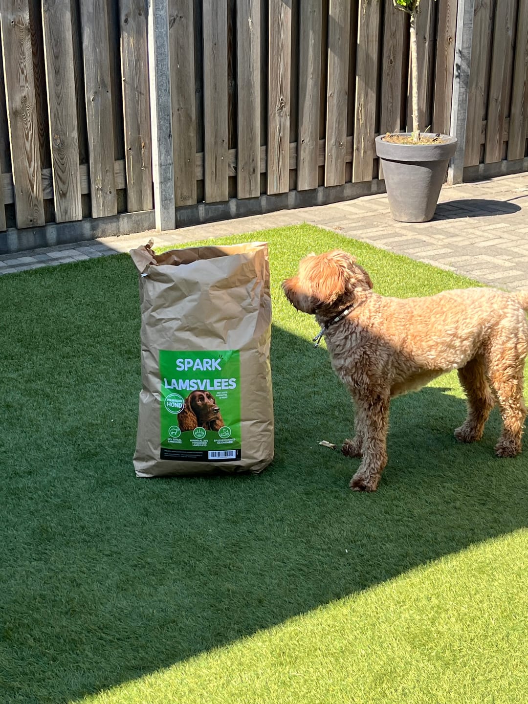 Customer photo review of Volwassen - Lamsvlees met Zoete Aardappel & Munt