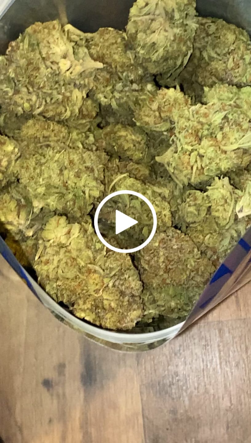 Customer video review of Oreoz - Bulk - Indica