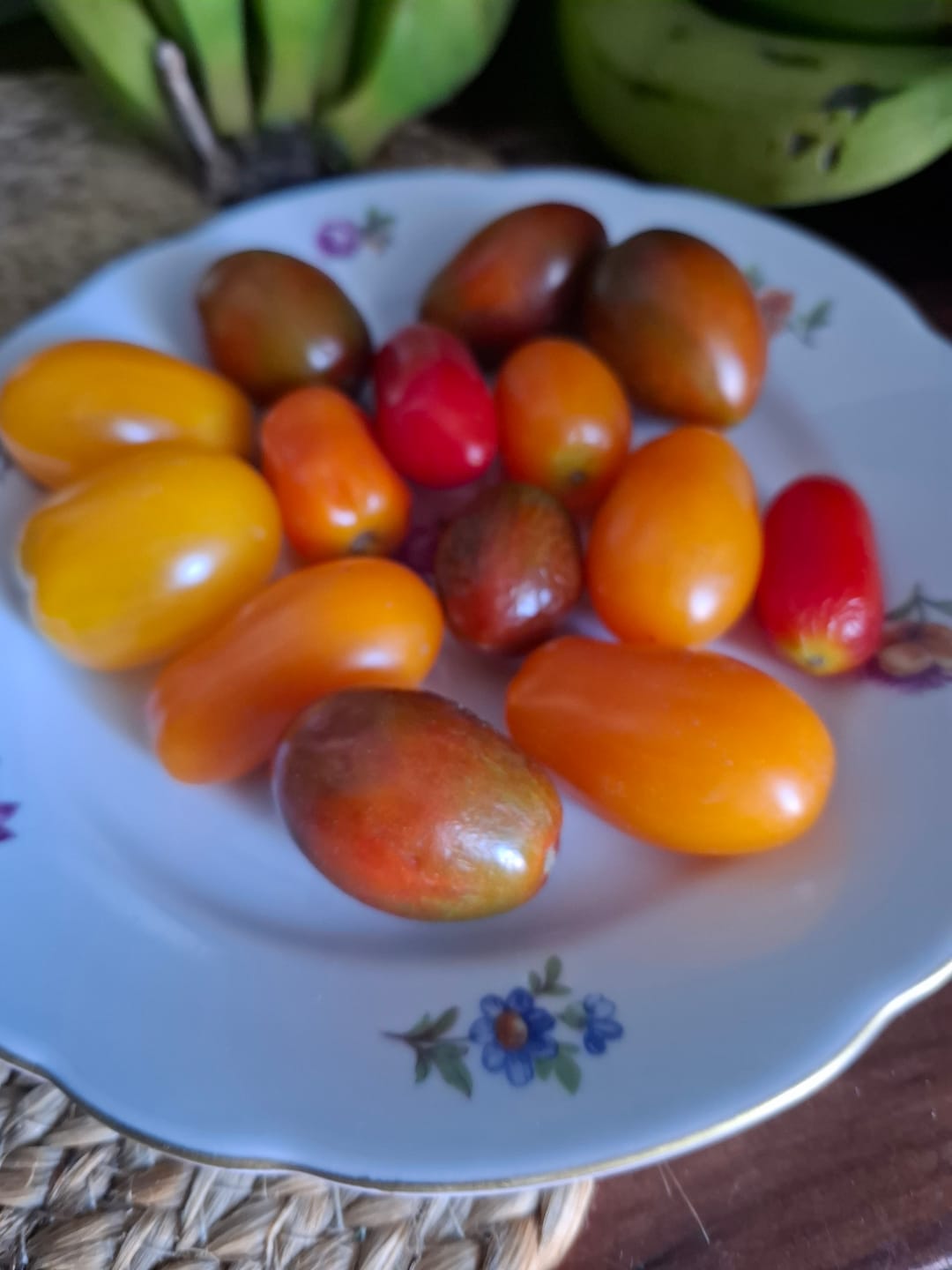 Customer photo review of Cocktailtomaten Mix regional vom Biohof Laurer aus Landau