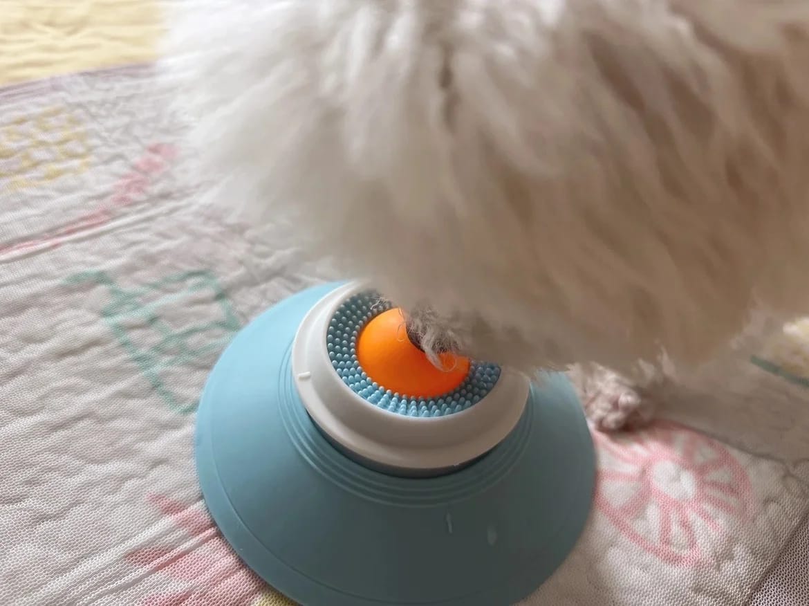 Customer photo review of Sashacat™ LickBowl