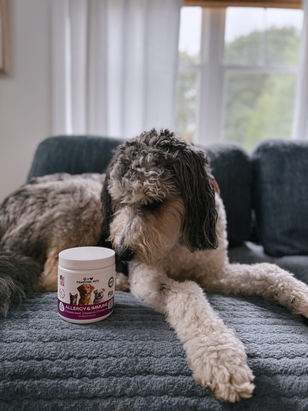 Customer photo review of Dog Allergy Chews for Itchy Skin, Paw Licking & Seasonal Allergies – Immune Support, 120 Soft Chews (Beef Flavor)