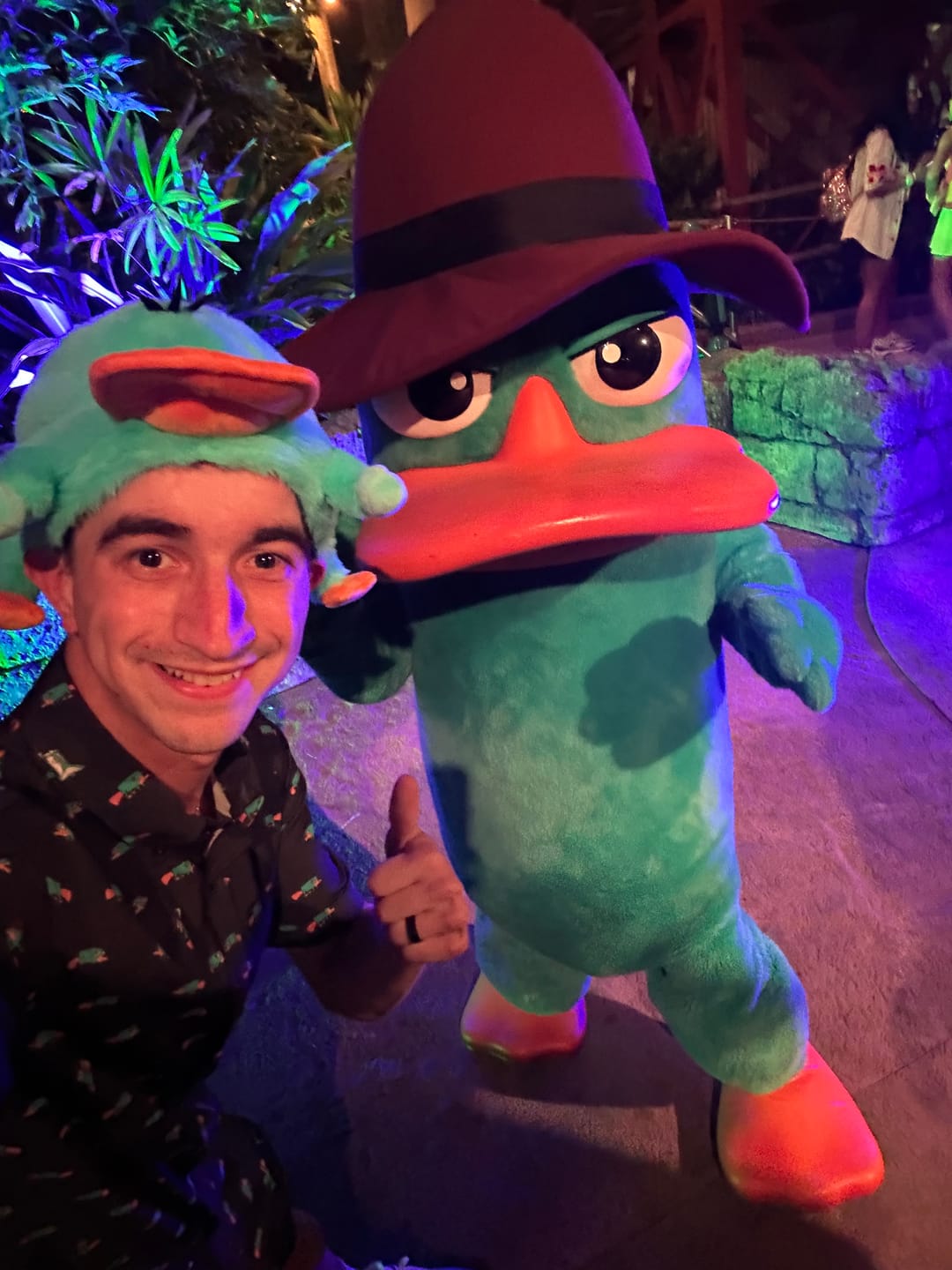 Customer photo review of Disney’s Phineas and Ferb "Perry the Platypus" – Plush Hat