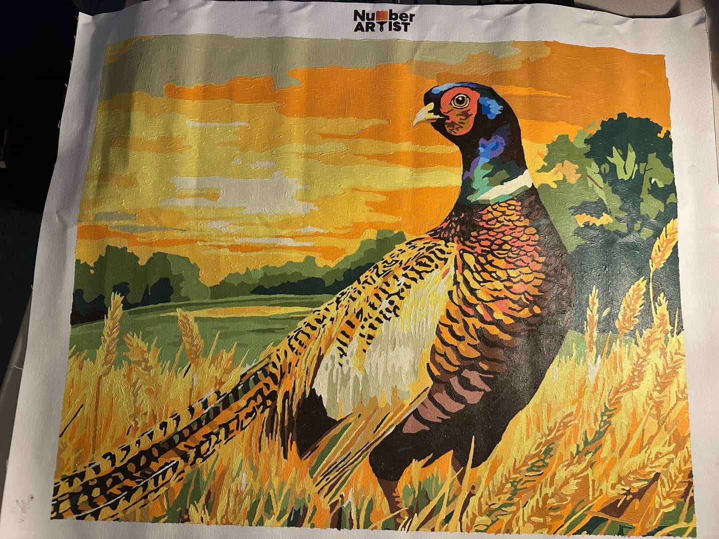 Customer photo review of Pheasant Fields