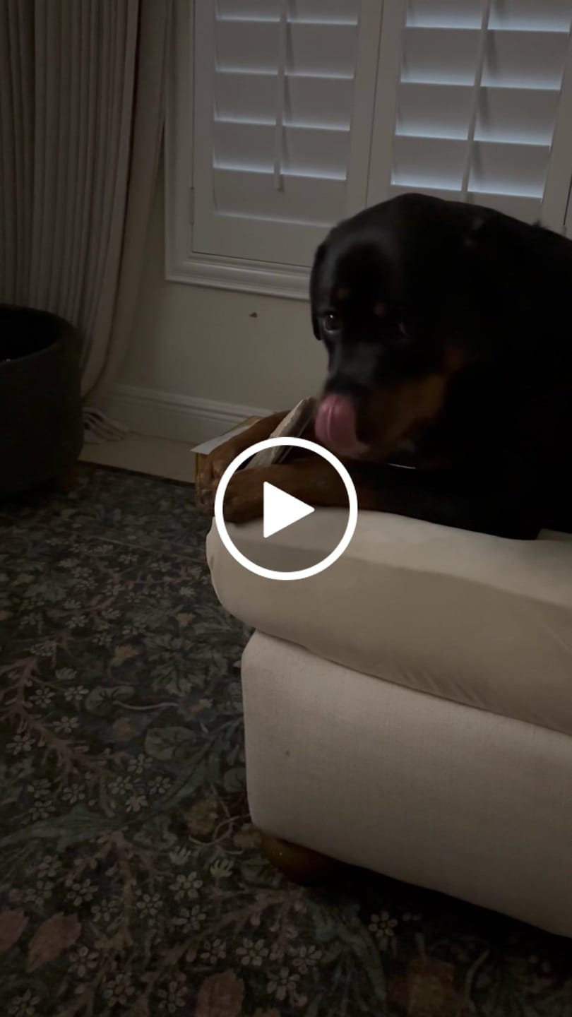Customer video review of Shipping Protection
