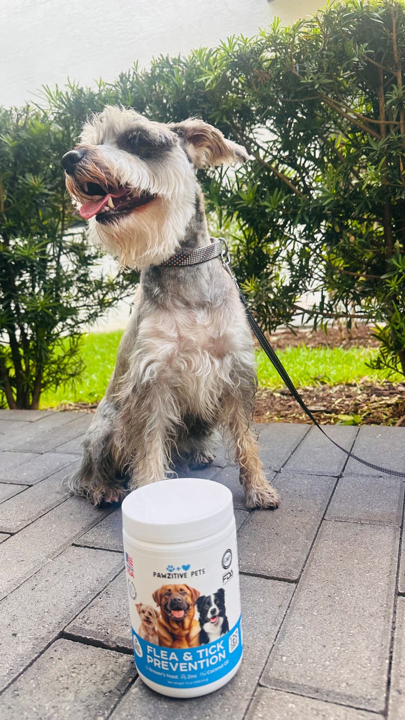 Customer photo review of Flea and Tick Prevention for Dogs – 120 Soft Chews