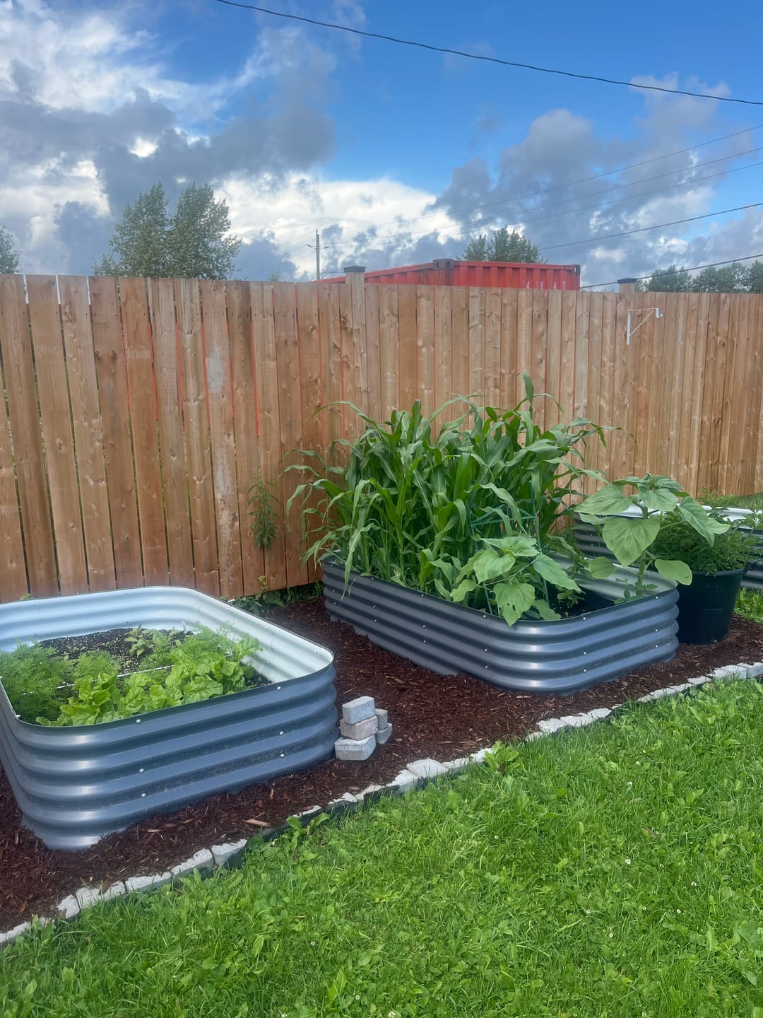 Customer photo review of 17” Tall Modular 9 in 1