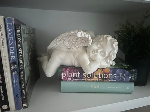Customer's distressed white Océane cherub sculpture resting on top of a stack of books on a bookshelf
