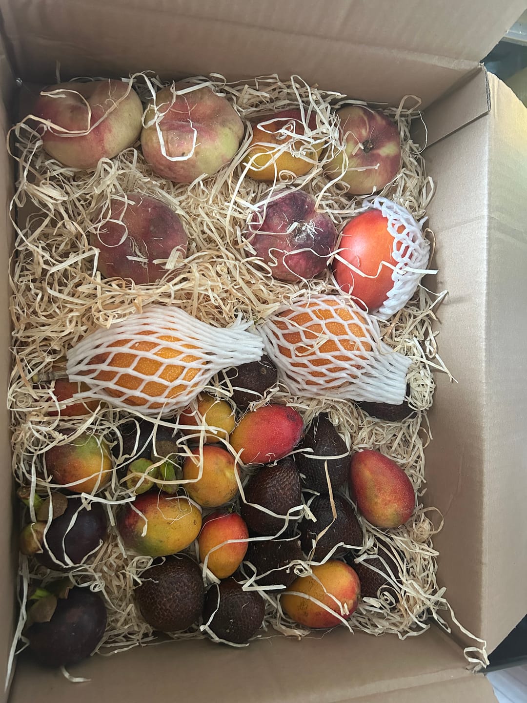 Customer photo review of Salak (Schlangenfrucht) naturbelassen