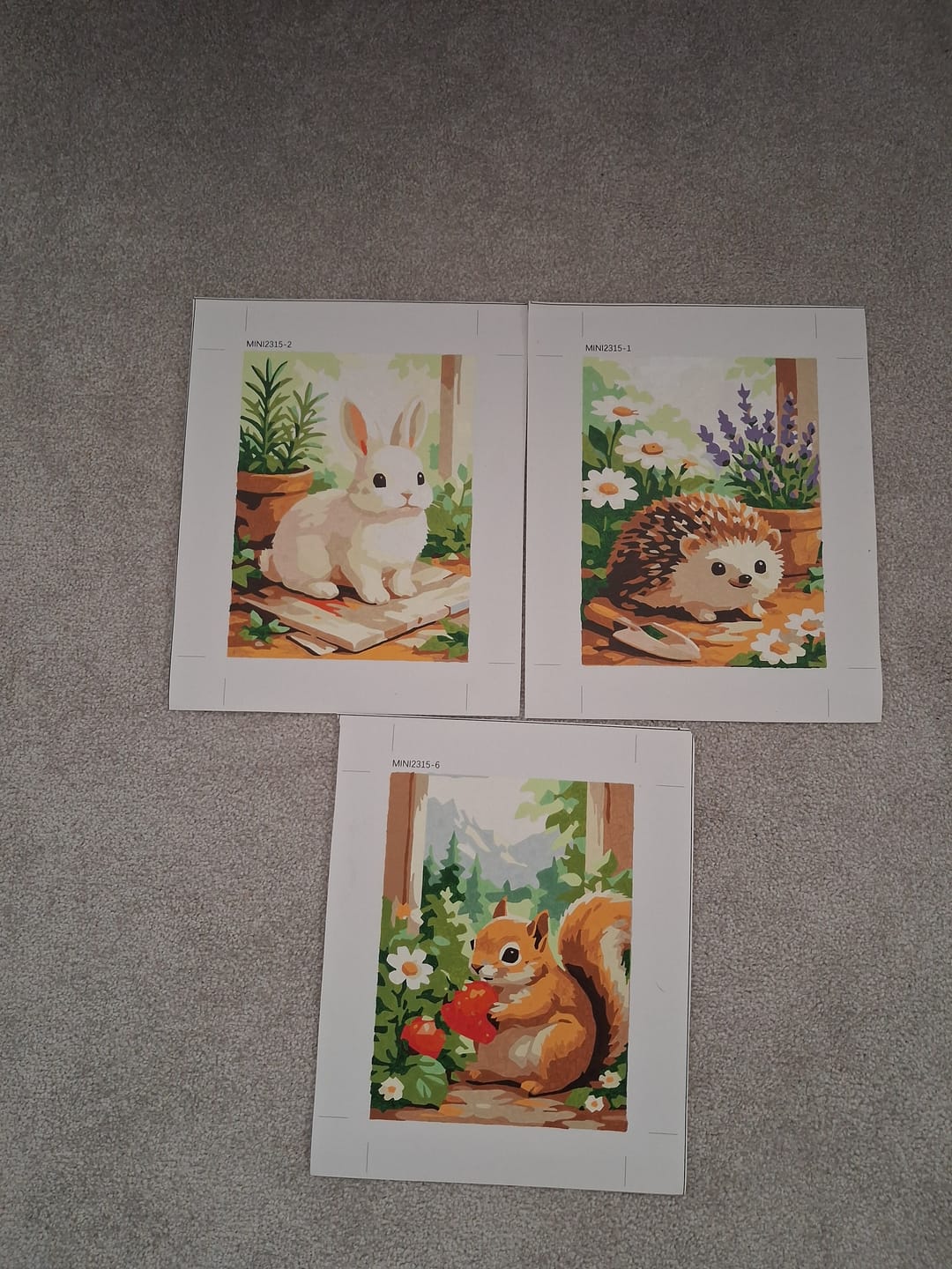 Customer photo review of Garden Animals Mini Paint By Numbers Set