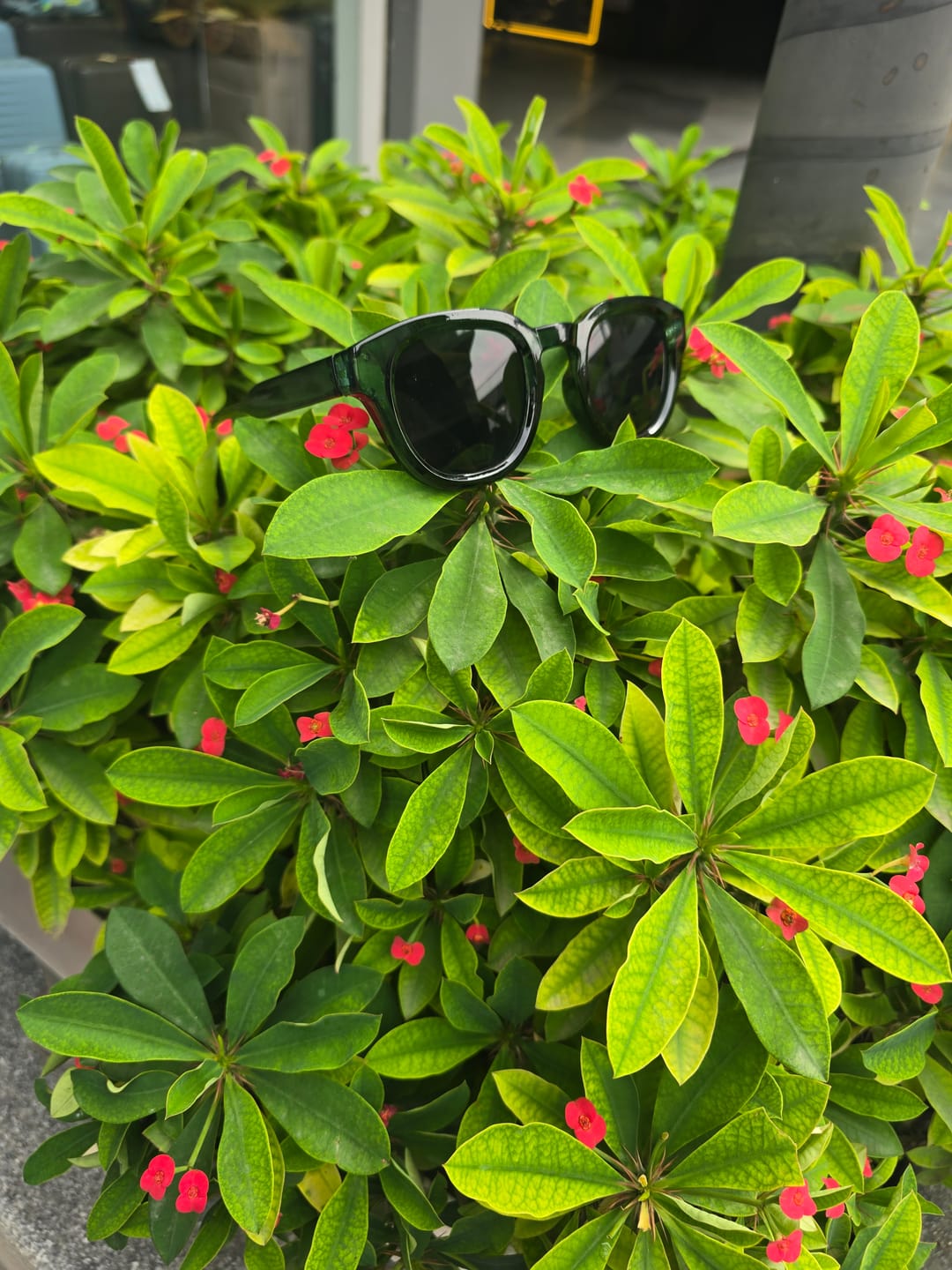 Customer photo review of THE GALAXY G3 Unisex Glossy Dark Green UV400  HD Sunglasses