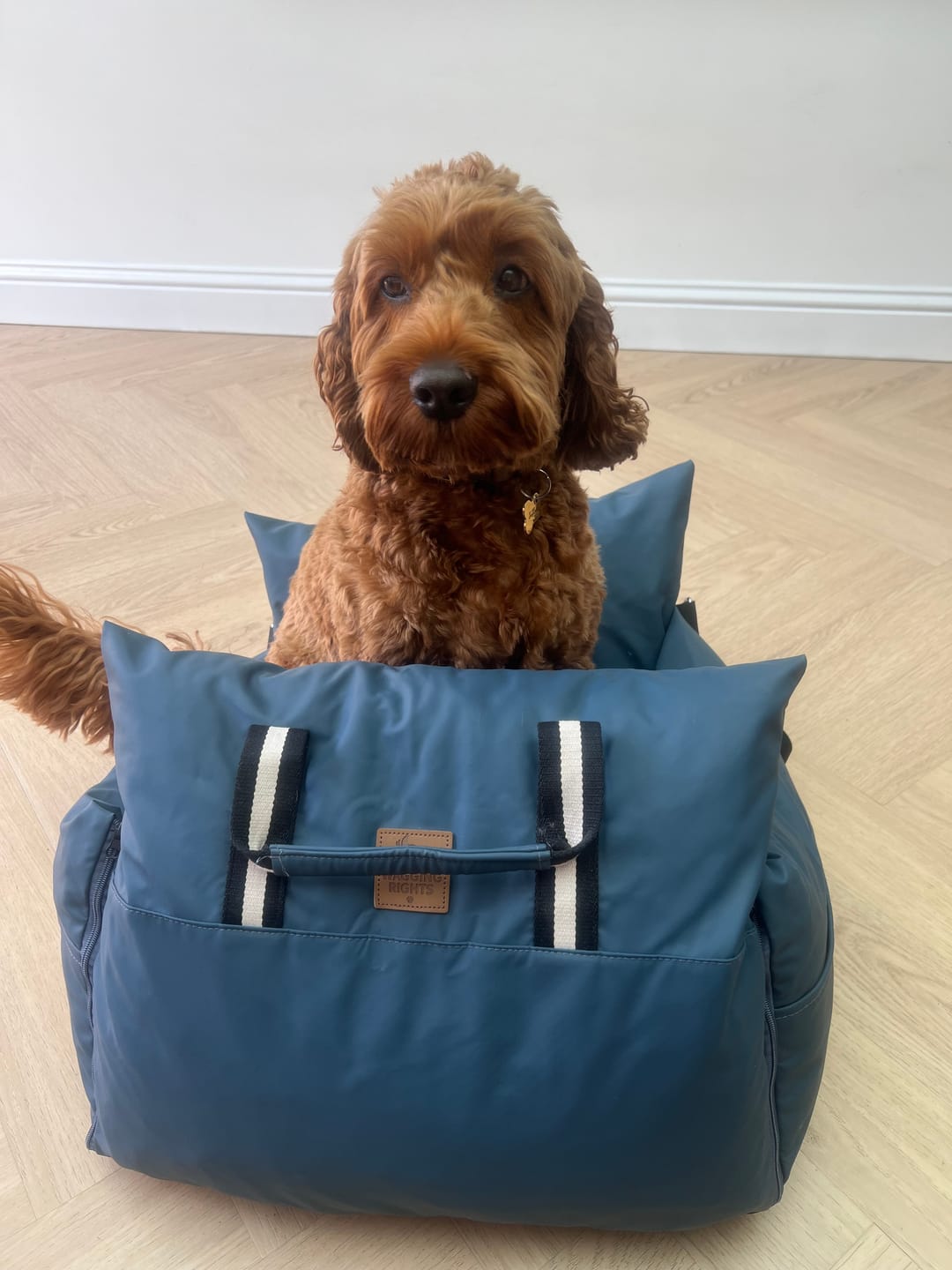 Customer photo review of The Dog Dock V2 New & Improved with ISO Fix