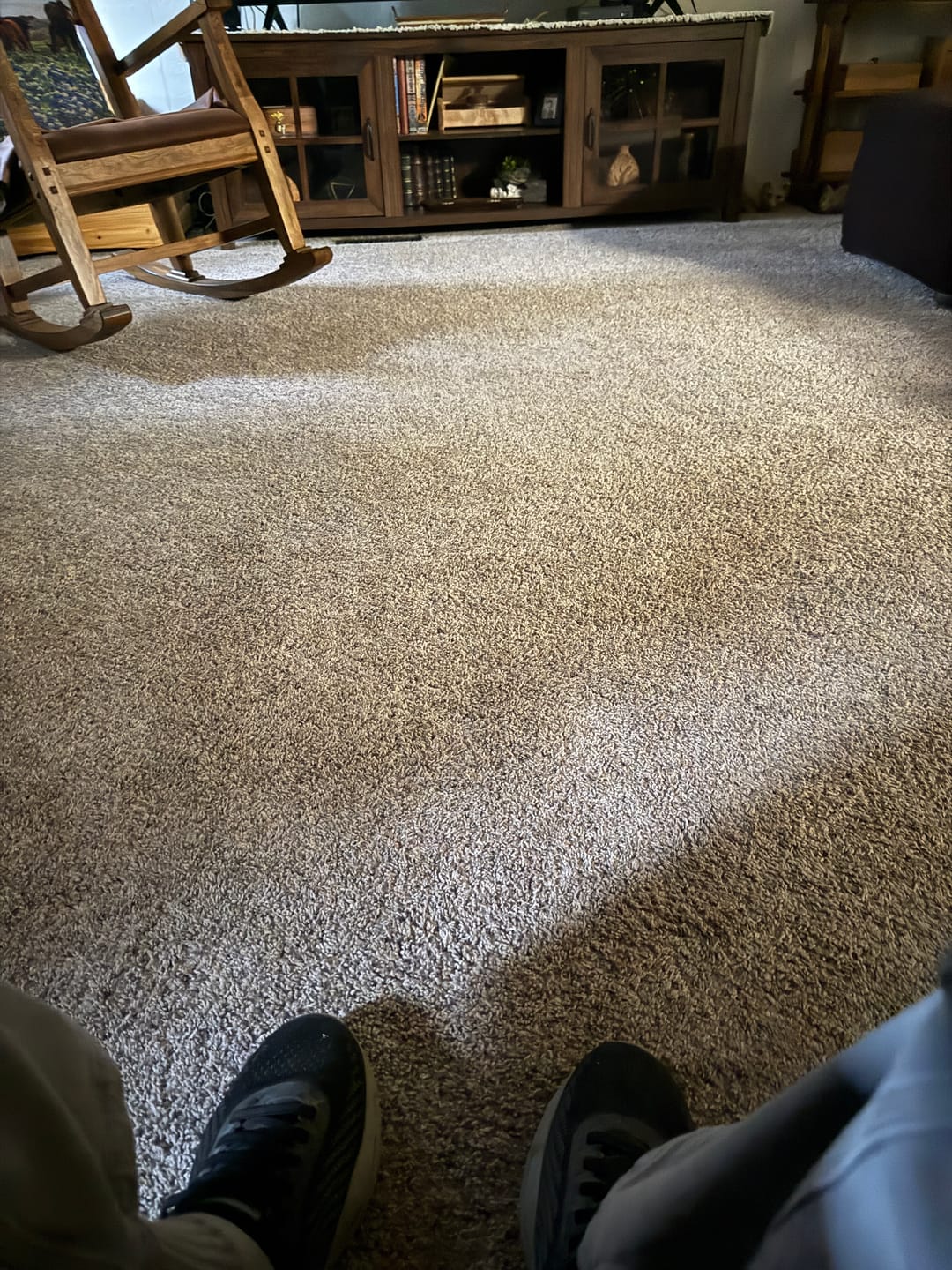 Customer photo review of SPEEDY TAIL 2.0