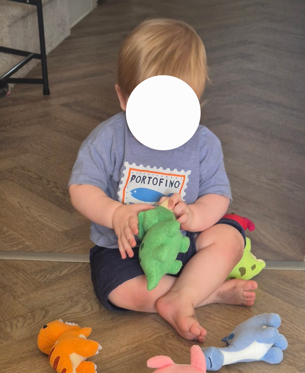 Customer photo review of 6 Dinosaurs Hidden in a Hatching Egg