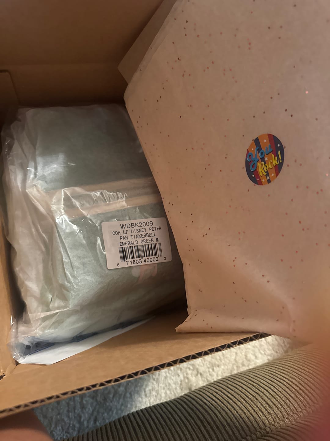 Customer photo review of Loungefly Mickey, Minnie, & Friends Camping Scene Mini Backpack | Exclusive