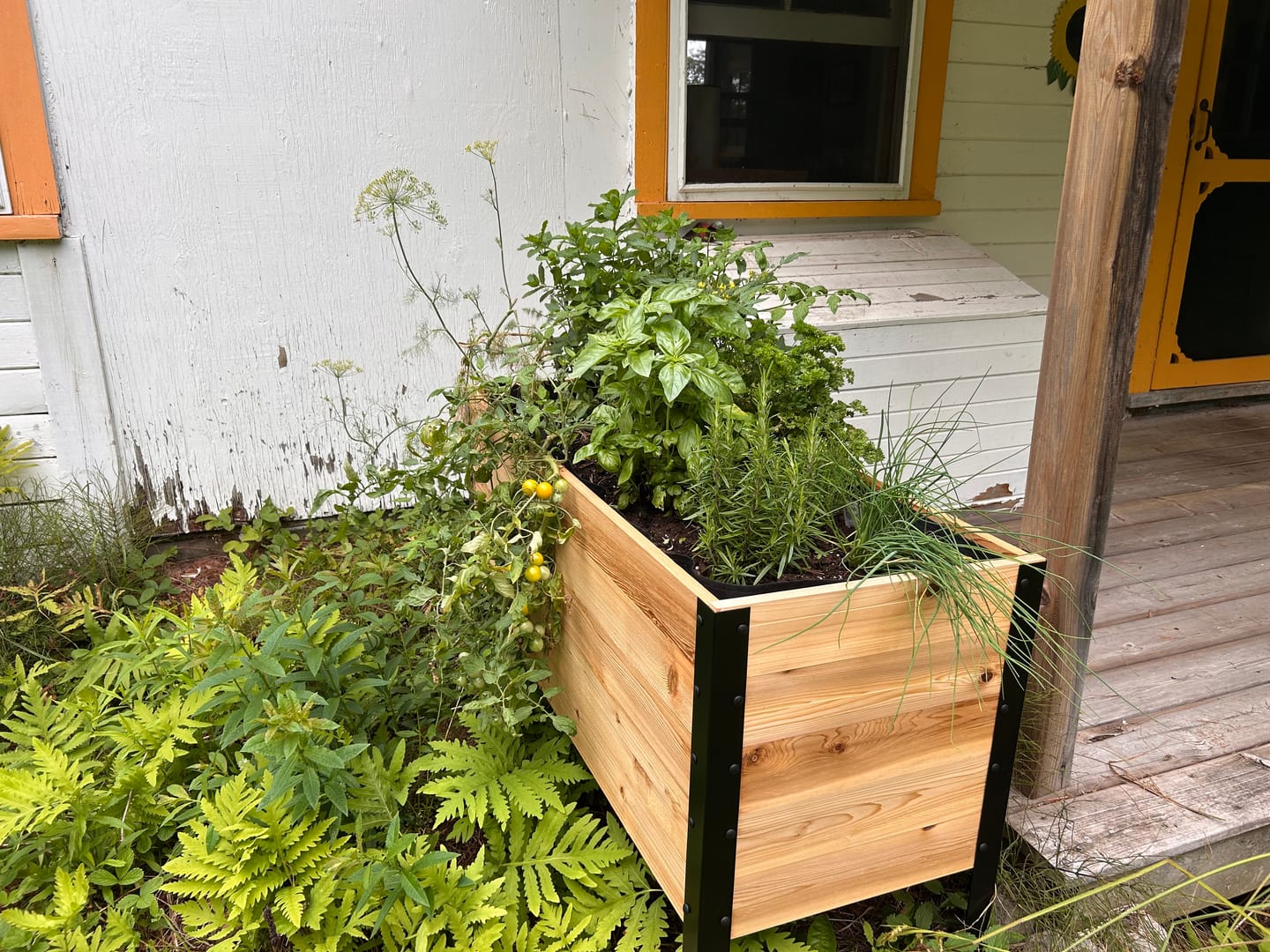 Customer photo review of 18" x 48" Raised Garden Bed - 30" TALL - Select Grade