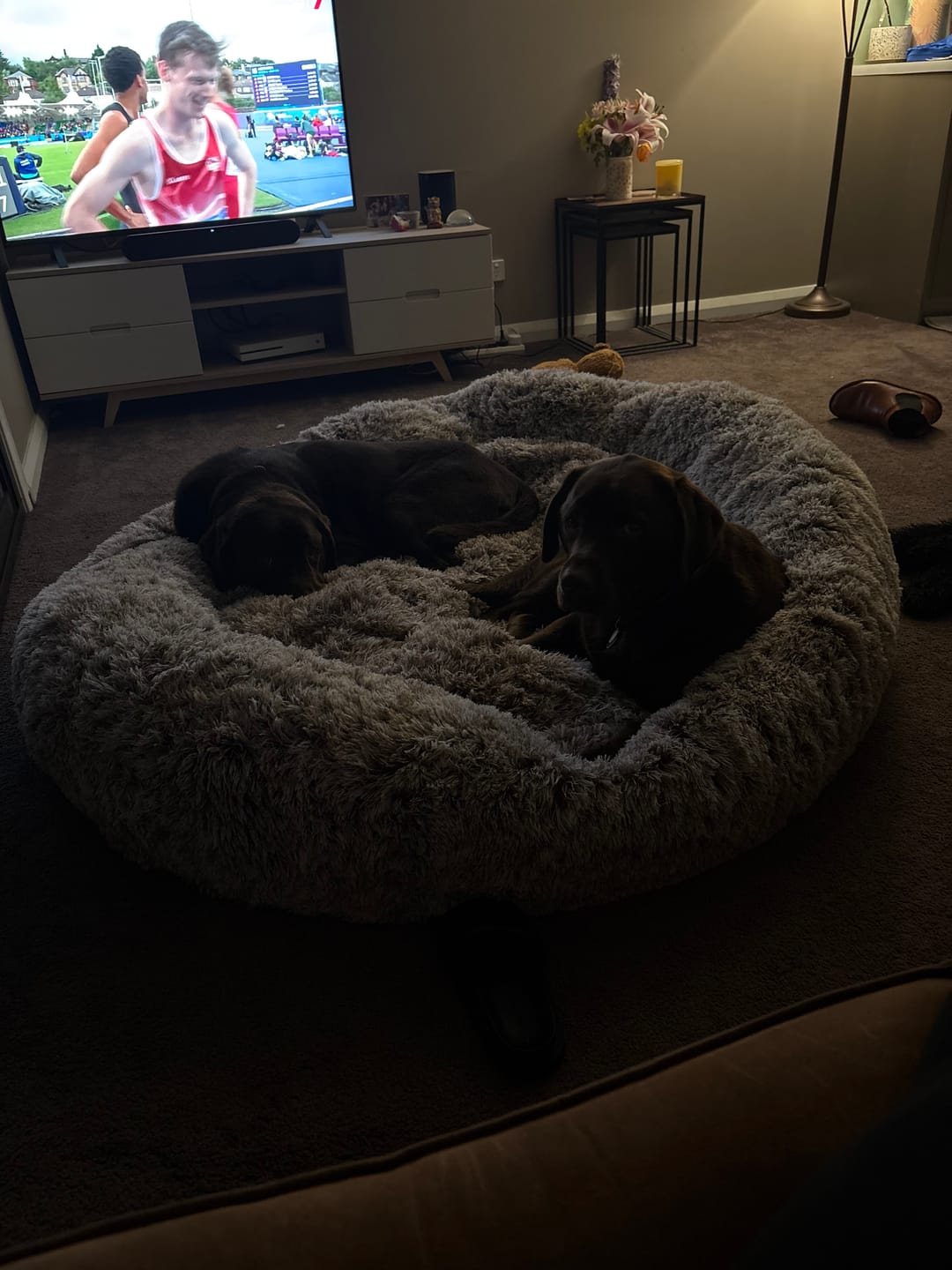 Customer photo review of The Human Size Nap Bed