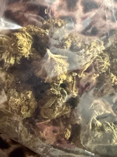 Runtz Cake - Minis - 28 Grams - Hybrid photo review