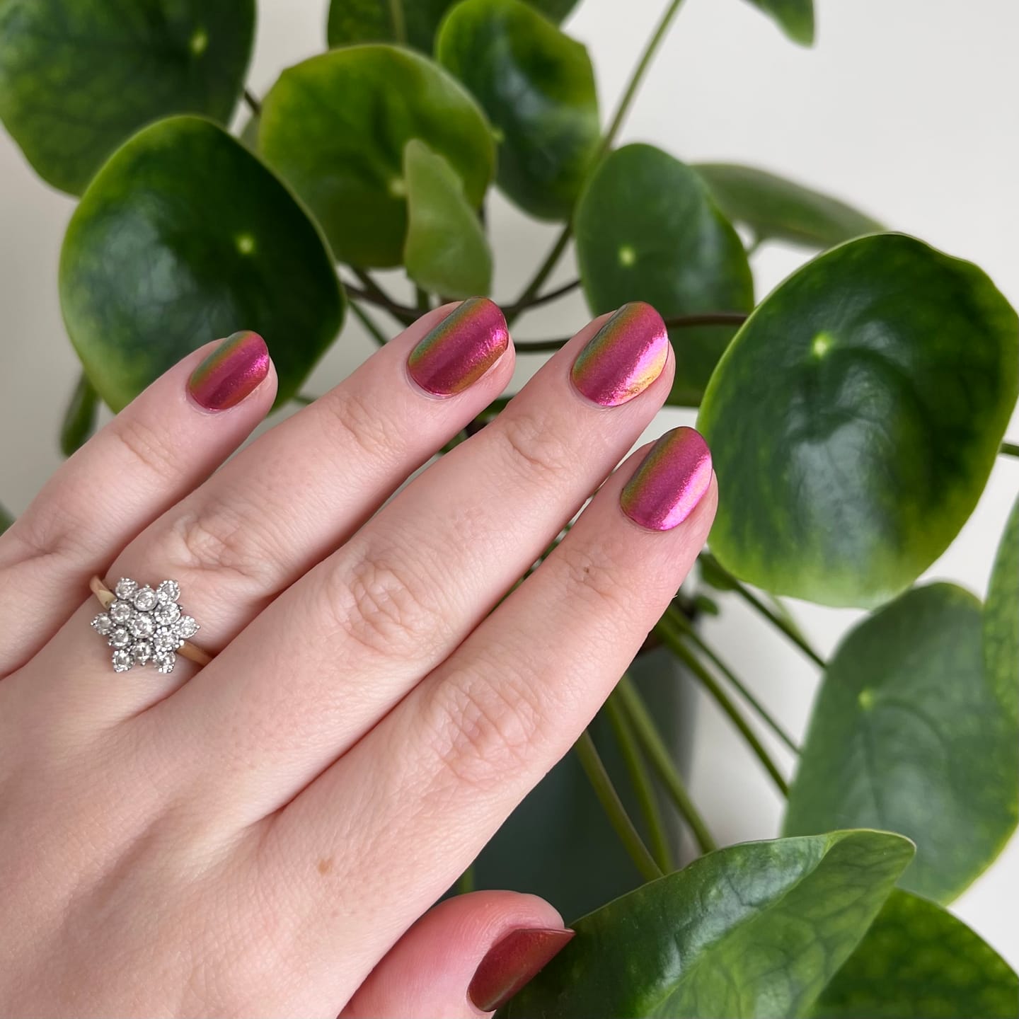 Customer photo review of Tropical Sunset Chameleon DIY Semicured Gel Nail Sticker Kit