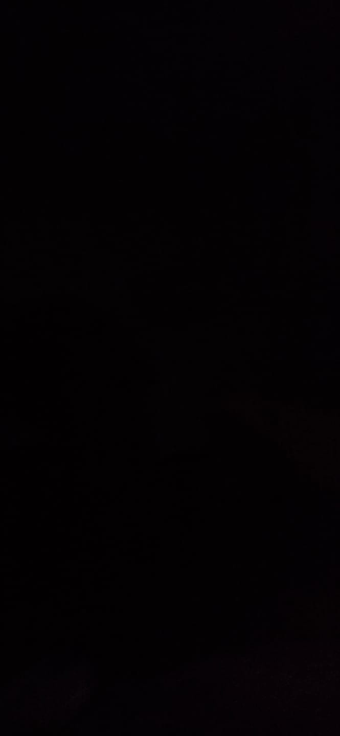 Customer photo review of Oferta semana de la Novia | FloraGlow™ – Lámpara LED de Tulipanes Original | Pocas unidades disponibles