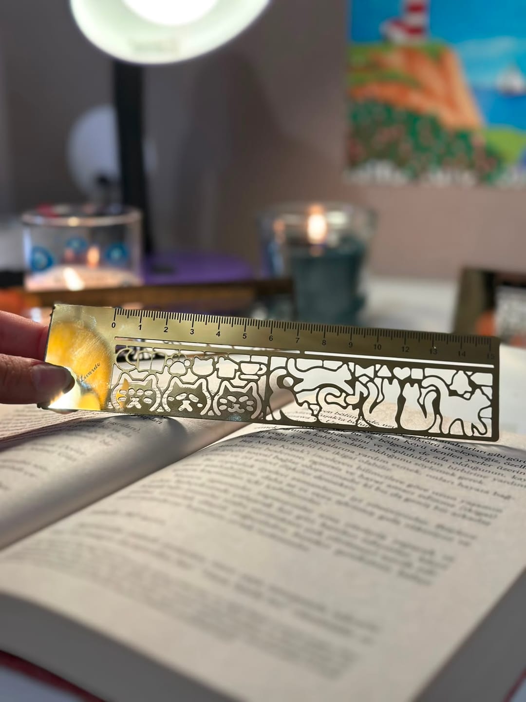 Customer photo review of Kedi Kitap Ayracı