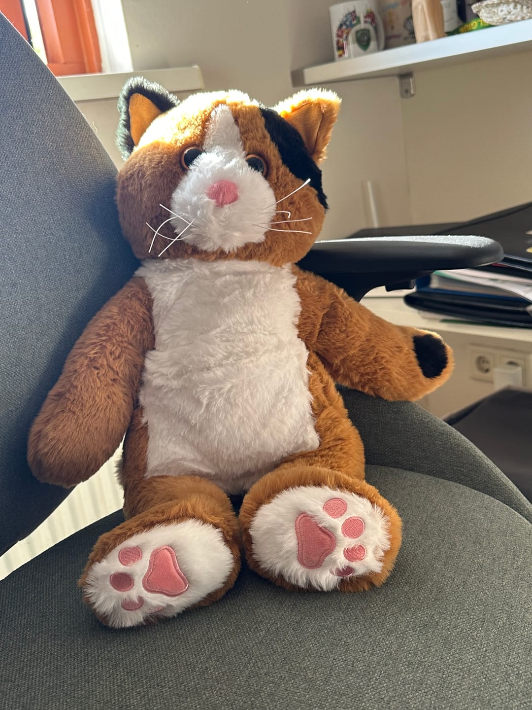 Customer photo review of Verzwaringsknuffel Kat 2,2 kg met Knuffelkruik (75cm/2L)